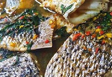 Croaker