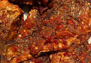 Peppered Croaker